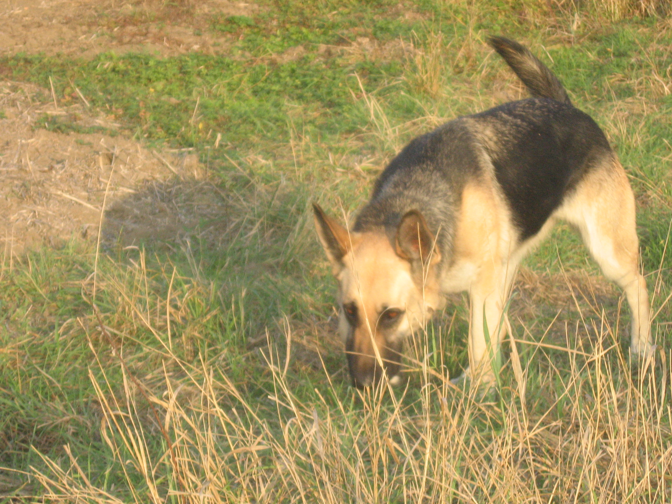 Snímek 003.jpg