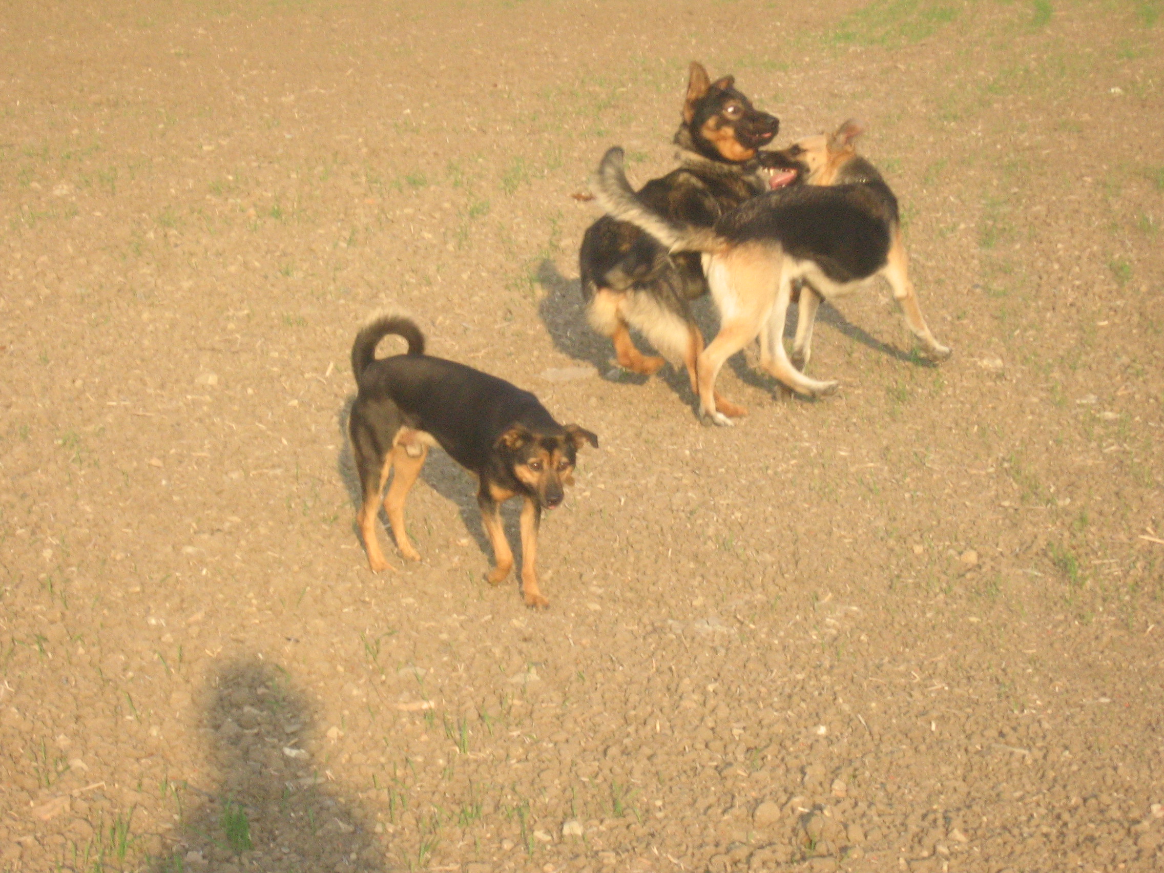 Snímek 016.jpg